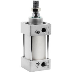 Pneumatische Standard-Zylinder, Kolben SC80/100/125 mm, doppelte Bohrung, Hub von 25 bis 1000 mm mit Magnet (Stroke 100 mm, SC125 (mit Magnet)