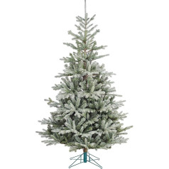 Black Box Trees Celtis Artificial Christmas Tree - H215 x Ø135cm - Green Frosted Finish