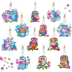 DNWFZ Diamond Painting Pendants, Pack of 12, DIY Diamond Painting Key Chain, Children, Adults, 5D Owl Painting, Embroidery, Diamond Painting Pendant, Art, Owls, Handbag, Keys, Craft Kits