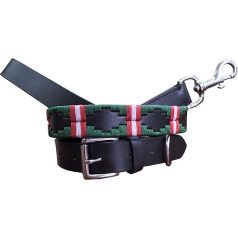 CARLOS DIAZ Genuine Leather Waxed Embroidered Polo Dog Collar + Matching Lead L
