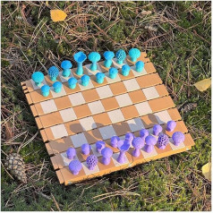Magnetic Forest Mushroom Chess, 2025 Wooden Chess Botany Board Set, Natural Theme Creative and Portable Rolling Set, Mushroom Pieces for Adults, Camping in the Wild (C)