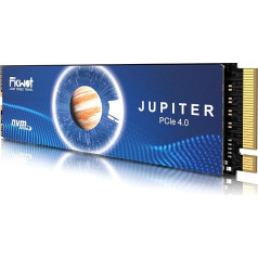 Fikwot M.2 SSD, 4TB NVMe SSD M.2, PCIe Gen4, Up to 7300MB/s Read, Internal SSD for PS5 Gaming and Laptop (FX991 QLC)