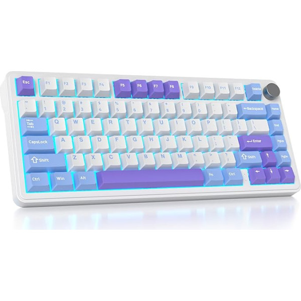 SOLIDEE Mechanical Gaming Keyboard 75% with Button, Bluetooth 5.0/2.4GHz/USB-C Gasket Mount Keyboard, Hot-swappable Mechanical Keyboard with South Facing RGB Backlight (Starlight)