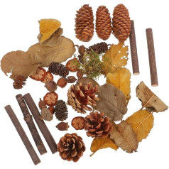Holibanna Small Pine Cones Rustic Mini Acorns Maple Leaf Craft Material for Christmas Autumn Home Decor