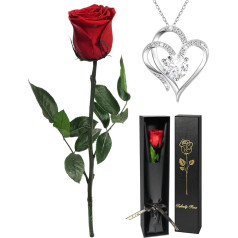 Yamonic Gifts for Women Christmas, Infinity Rose with Stem, Eternal Rose with Heart Necklace Gifts for Mum, Real Rose with Chain for Women, Preserved Flower for Valentine's Day/Mother's Day
