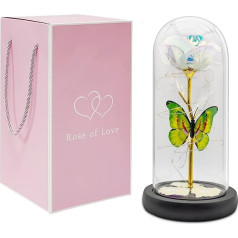 NLIGHTING® Eternal Rose Galaxy Gift Ideas for Girlfriend Wife Valentine's Day for Her Kit Beauty and the Beast Eternal Rose Enchants Galaxy in Glass Bell (Galaxy White)