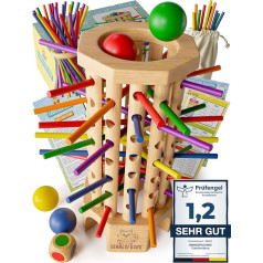 SINNESFUCHS® Colour Learning Tower, Montessori Toy for Ages 3 Years and up, Wooden, Educational, Coloured Stick Game