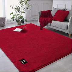 RTBQJ-AT Living Room Rug, 160 x 120 cm, Rugs for Living Room, Modern, Fluffy, Short Pile Rug, Washable, Soft, Plain Living Room Rug, Red Rug, Bedroom Rug
