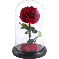 YEPLINS Beauty and the Beast Rose Set Forever Rose in Glass Romantic Birthday Gift for Girlfriend