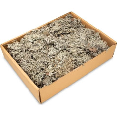 NaDeco Lichen Moss in Natural, Weight Approx. ± 450 g | Cetraria islandica | Moss Lichen | Icelandic Moss | Blood Pulmonary Moss | Fever Moss | Deer Horn Lichen | Moss for Crafts | Natural Moss |