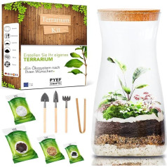 Bottle Garden Complete Set for Creating an Ecosystem in Glass - Terrarium Starter Kit for Creating a Biotope in Glass - Terrarium with Garden Tools, Moss, Soil, Stones (Kit with Bottle)