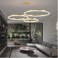 Mikeru 40 + 60 + 80 cm Minimalist Pendant Lights, Dimmable 10% to 100% Gold Height-Adjustable Pendant Lights with Memory Function 3000K/4500K/6500K LED Pendant Lights for Kitchen Lens