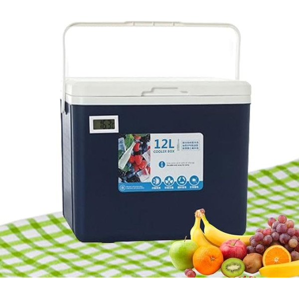 Portable Cool Box - Insulated Cool Box Insulated | 2L Durable Cool Box for Hot Cold Insulation, Ice Storage, Food Container for Picnic, Fishing, Fruit, Breast Milk, Juice, Drinks, Milk