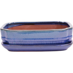 Bonsai-Shopping Bonsai Bowl Square 27 x 20.5 x 7.5 cm Green / Blue with Saucer 31135