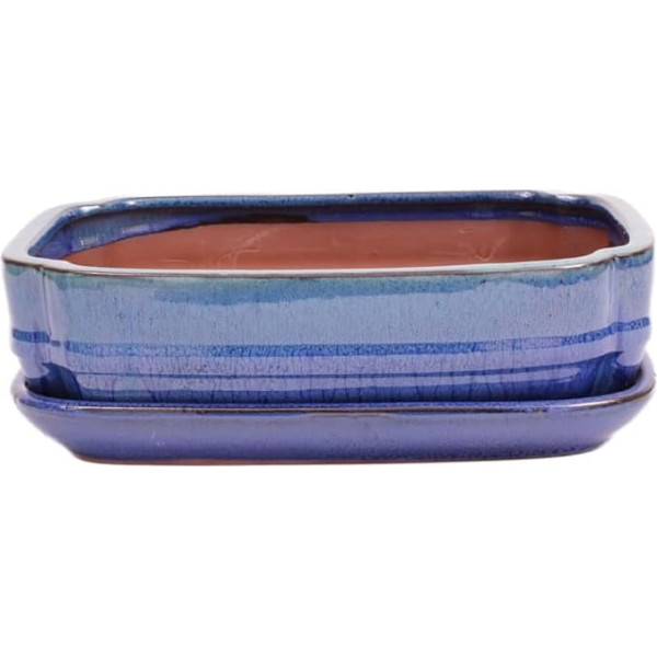 Bonsai-Shopping Bonsai Bowl Square 27 x 20.5 x 7.5 cm Green / Blue with Saucer 31135