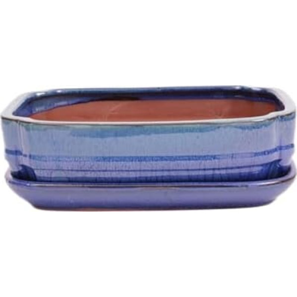 Bonsai-Shopping Bonsai Bowl Square 27 x 20.5 x 7.5 cm Green / Blue with Saucer 31135