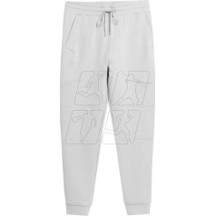 Bikses M SS23TTROM152 pelēkas / XL