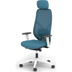 Ergotopia MasterBack Style Ergonomic Office Chair - Ergonomic Desk Chair with 3D Tilt Mechanism, 3D Armrests & Breathable Mesh Back - Perfect as a Swivel Chair for Office & Home Office