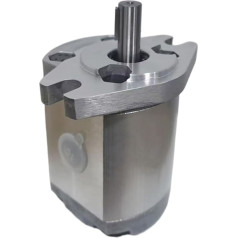 Zahnradpumpe Zahnradpumpe P101/P102/P104/P105/P106/P107/P109/P127/P135RP01GT Ölpumpe KIRANDY (Größe : P102RP01GT)
