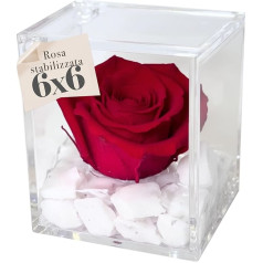 Stabilised Rose Red Scented Perpetual Rose, Gift for Women and Mother's Day Gift, Wedding Gift, Birthday, Confirmation, Christening Gifts for Girlfriend (Red - A 1060)