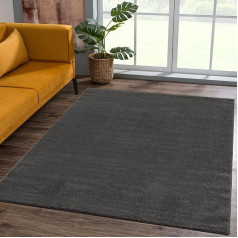 Sanat Short Pile Living Room Rug, Plain Modern Rugs for Bedroom, Study, Office, Hallway, Children’s Room and Kitchen, Dark Grey, 120 x 170 cm
