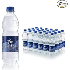 Radnor Hills Mineralwasser im Schraubverschluss-Flasche 500 ml (24 Stück)