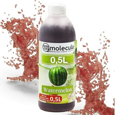 Syrup for Bubble Tea 0.5 L Watermelon | Drinks Syrup Concentrate 500 ml | 100% Vegan, Gluten Free, No Artificial Dyes | Fruit Syrup for Bubble Tea | Drink Syrup | for Desserts |