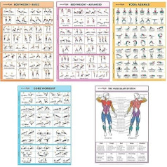 SPORTAXIS 5 Pack Laminated Workout Posters for Home Without Equipment Color Illustrations Bodyweight Basic Building Exercises Yoga Abs Training for Men and Women 18x27 Inches