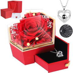 Preserved Red Real Rose with I Love You Necklace in 100 Languages, Eternal Flowers, Rose Gifts for Your Women, Mum, Wife, Girlfriend on Christmas, Valentine's Day, Mother's Day, Anniversary, Birthday