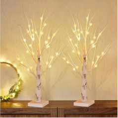 Set of 2 LED Tree Lights, Warm White, 60 cm / 2 ft Birch LED Light Tree Indoor with 24 LEDs Light, USB/Battery Operated Light Tree, Adjustable Branches, Indoor Birch Tree for Christmas, Easter, Party,