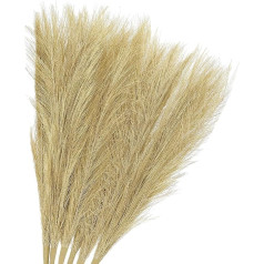 GLOKUUCA Pampasgras – 6 Stück künstliche Vasenfüller, passend für Hochzeitsfeiern, Dekoration – Stoff Kunstrasen – (45 cm, goldfarben)