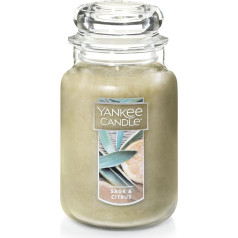 Yankee Candle Salbei- und Zitrusduft, 625 ml, Einzeldochtkerze, über 110 Stunden Brenndauer, ideal für Heimdekoration und Geschenke, klassisches großes Glas, elfenbeinfarben