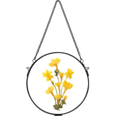 REDHUGO Glass Frame Round Pressed Flower Frame Circle Black Diameter 17cm