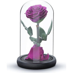 Eternal Rose Forever, Fresh Rose Gift, Preserved for 5 Years, Handmade, Gifts for Women Birthday Unique Unusual | Mother's Day, Anniversary, Christmas, Valentine's Day (Purple)