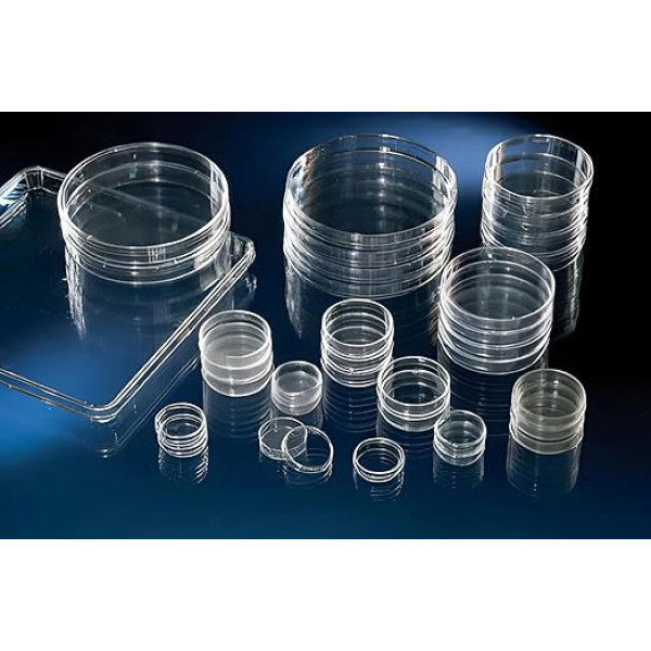 Thermo Scientific Nunc 168381 Zellkulturschalen, 5.7-Inch, CC Cap, Sterile (Pack of 80)