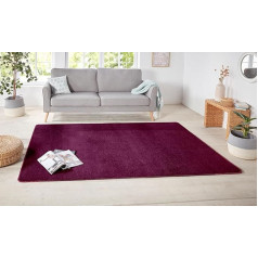 Hanse Home 101147 Rug Pink