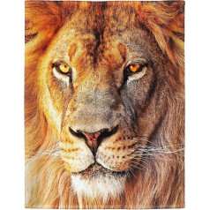 YISUMEI Blanket 150 x 200 cm Cuddly Blankets Soft Flannel Soft Fleece Blanket Bed Throw Lion