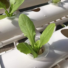 Hanmorfarbi Hydroponic Cultivation System with 54 Planting Sites, 1 Layer Hydroponic Growing System, Soilless Growing Hoses with Thickening Joint, Water Pump, Automatic Irrigation System, PVC-U, White