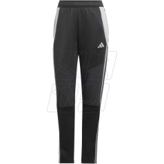 Bikses Tiro 24 Winter W IX7887 / L (173cm)