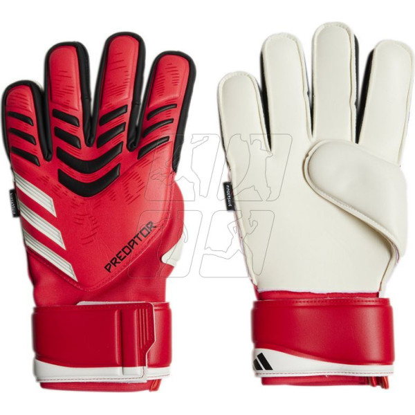Vārtsargu cimds Predator GL MTC FS M JH3802 / 10.5