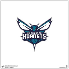 Trends International Gallery Pops NBA Charlotte Hornets - Primary Logo Wall Poster 12 x 12-Inch Unframed Version