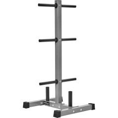 Bad Company BCA-98 Weight Plate Stand / Shelf with 6 Disc Holders and Two Dumbbell Bar Holders for 30/31 mm Weight Plates I BCA-98 (Silver with Bar Shelf)