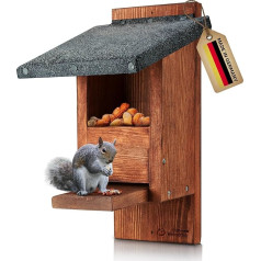 Squirrel Feeder 100% Weatherproof & Extra Safe, Stable, Durable, Made of Hand-Screwed Palatine Wood with Linseed Oil Coating - Without Sharp Glass or Neck Break Flap, Winter Aid
