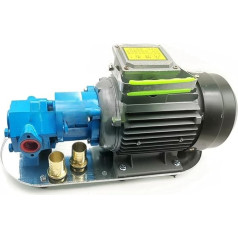 BADIKA Hydraulische Zahnradpumpe Hydraulikölpumpe, Leistung 220 V/380 V, tragbare Zahnradpumpe mit Motor WCB-30 WCB-50, Kraftstofftransferpumpe aus Gusseisen for W+V+O W+M+O(WCB-50 380V)