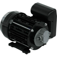 PIUSI Gear Pump for Water, Diesel and Oil Transfer, 230 V/50 Hz Power Supply, Flow Rate 10 l/min, Connections 3/8 Inch BSP | GARDA 5 NMT450006