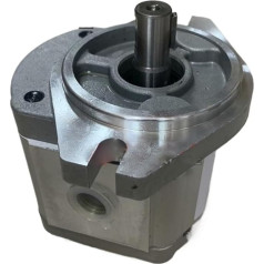 KIRANDY Gear Pump BAP2A0D10C0R1/ D12/D14/ D16/ D18/D20 /D22/D25 /D28/ D30COR1 (Size : BAP2A0D18C0R1)