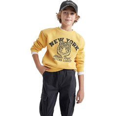 DeFacto Boys' Sweatshirt