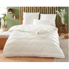 Badenia Trendline Eco 4 Seasons Duvet Aerelle Blue 155 x 220 cm, White, Oeko-Tex Certified, Produced according to German Quality Standard