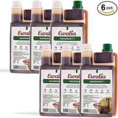 EWALIA Gastric Juice I - Soothing Supplementary Feed for Horses, Promotes General Wellbeing, Support of the Gastric Mucosa, Developed with Veterinarians, 6 x 1 Litre