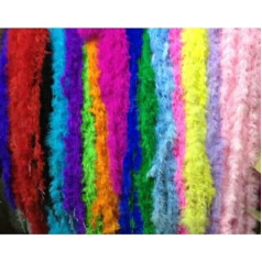 10 Pieces/Lot 2M Feathers Boas Costumes Garment Women Girls Dress Up Birthday Mix Colours